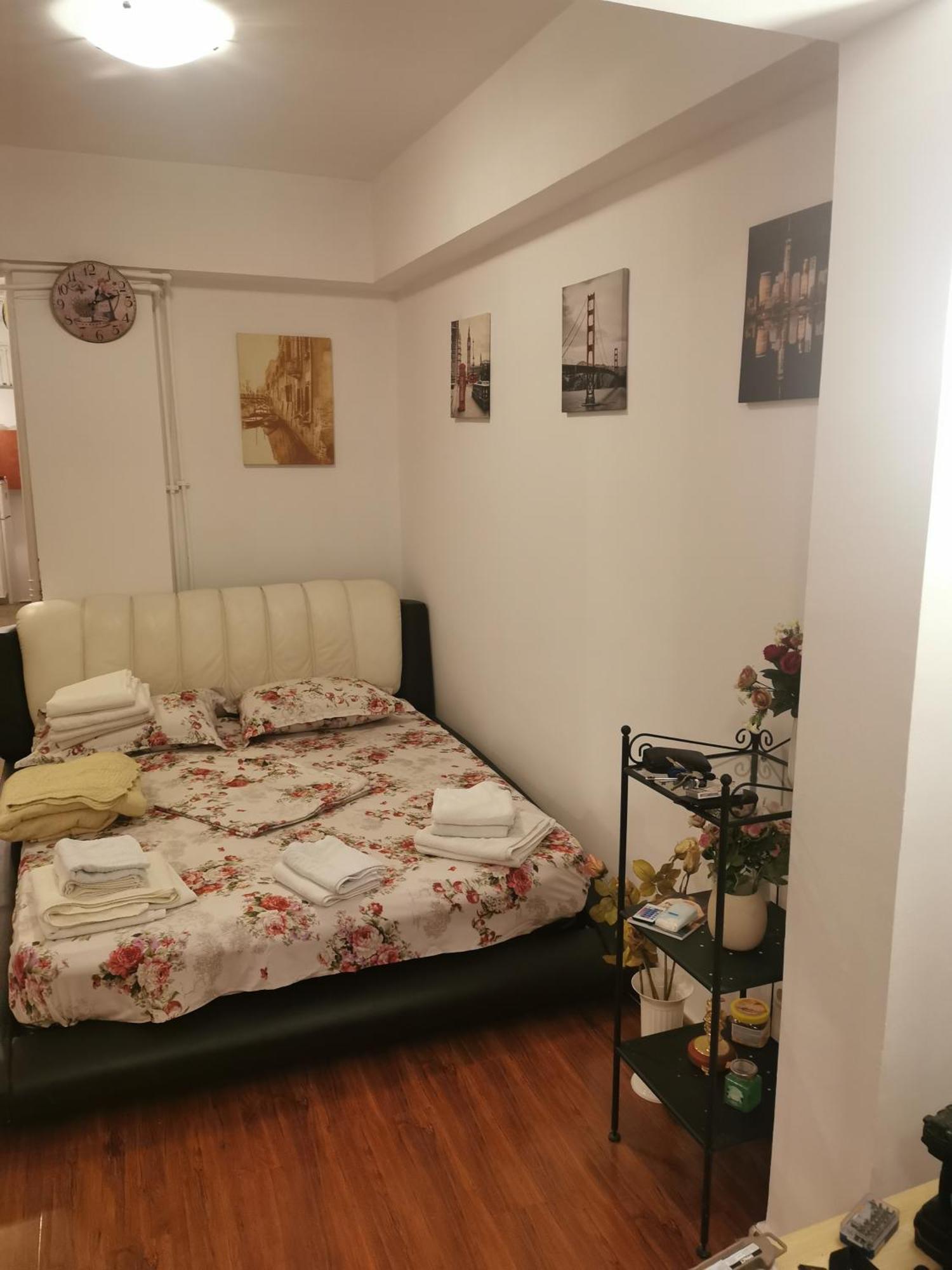 Old Center Apartament ブカレスト エクステリア 写真